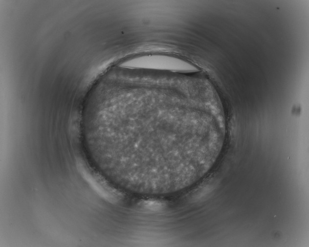 X0000112150352200909041109