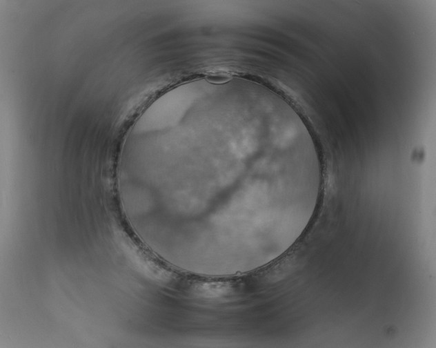 X0000112150353200909041109