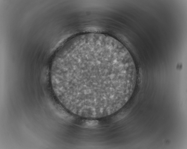 X0000112150355200909041109