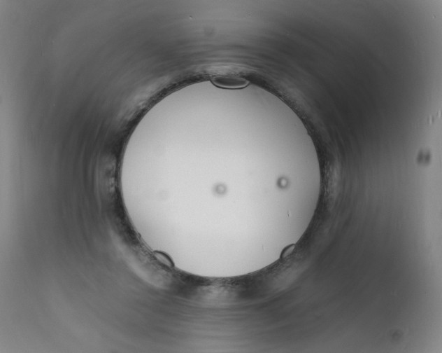 X0000112150356200909041109