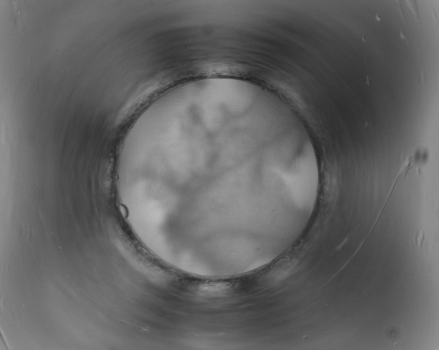 X0000112150357200909041109