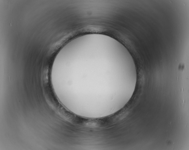 X0000112150358200909041109