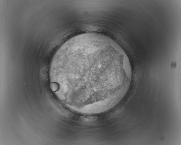 X0000112150359200909041109