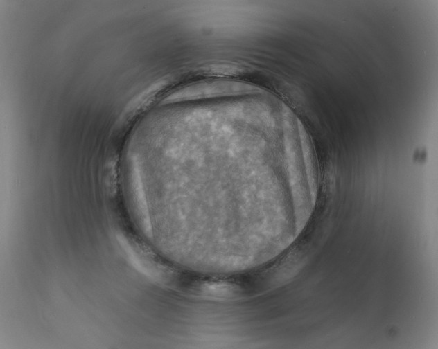 X0000112150360200909041109