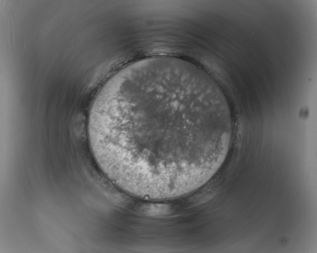 X0000112150361200909041109