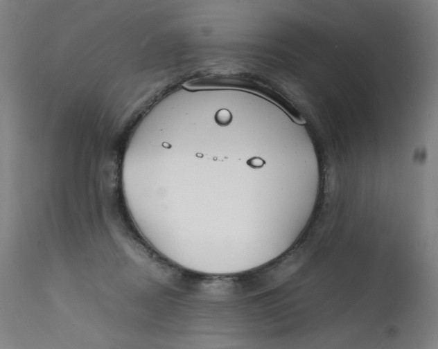 X0000112150362200909041109