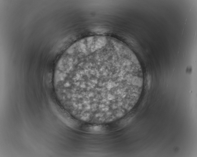 X0000112150365200909041109