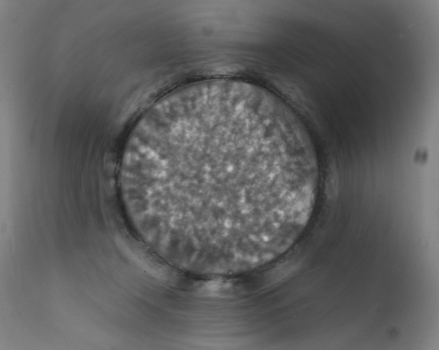 X0000112150366200909041109