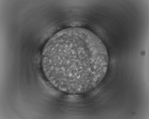 X0000112150367200909041109