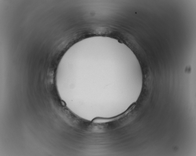 X0000112150368200909041109