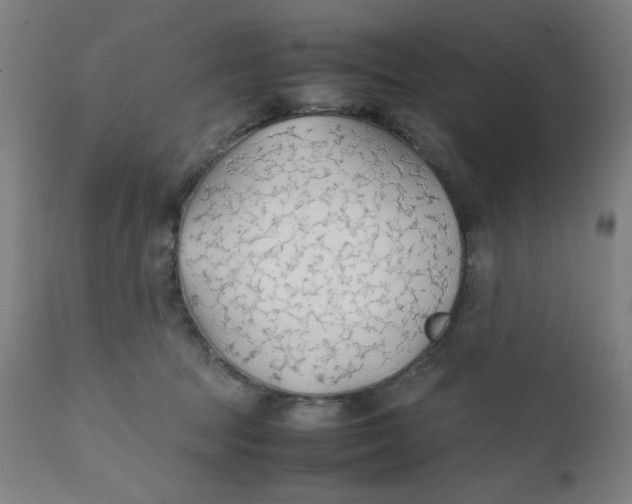 X0000112150369200909041109