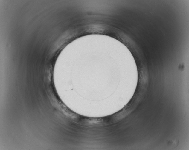 X0000112150370200909041109