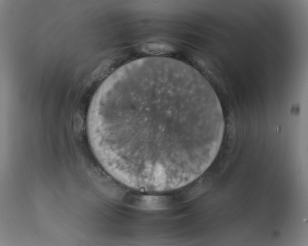 X0000112150371200909041109