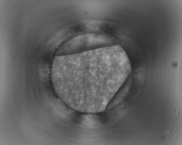 X0000112150372200909041109