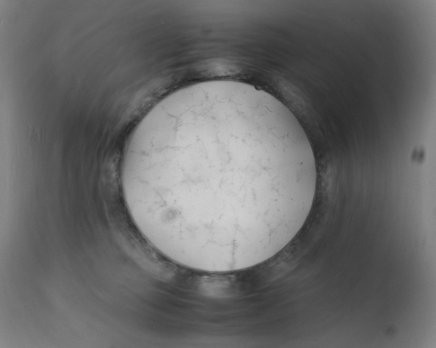 X0000112150373200909041109