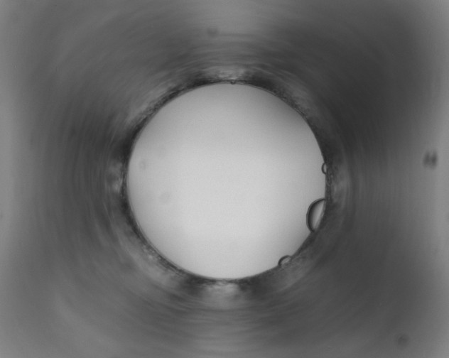 X0000112150374200909041109