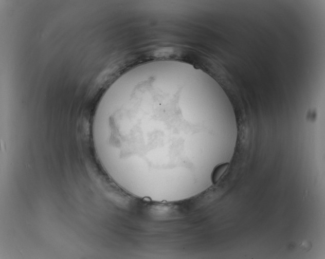 X0000112150375200909041109