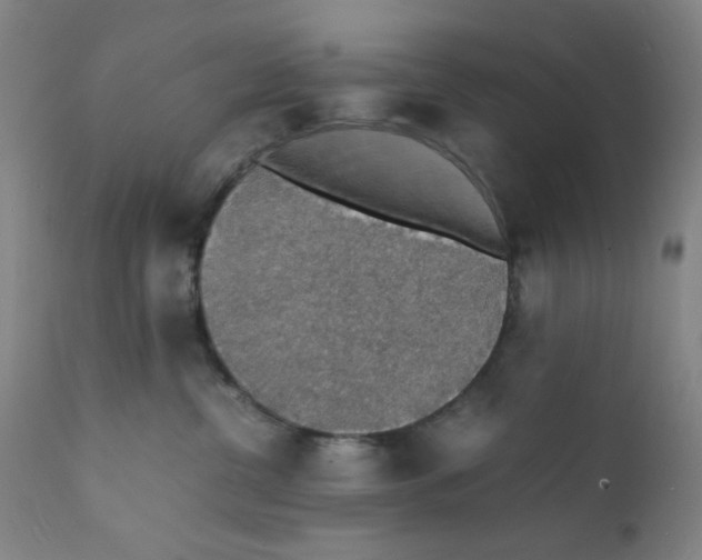 X0000112150380200909041109