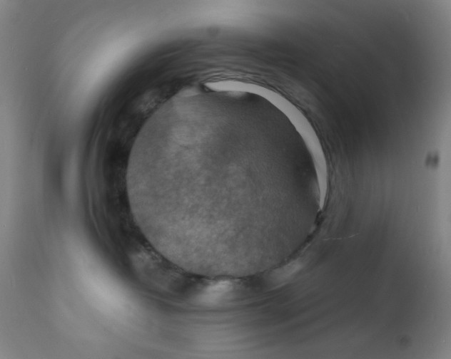 X0000112150382200909041109