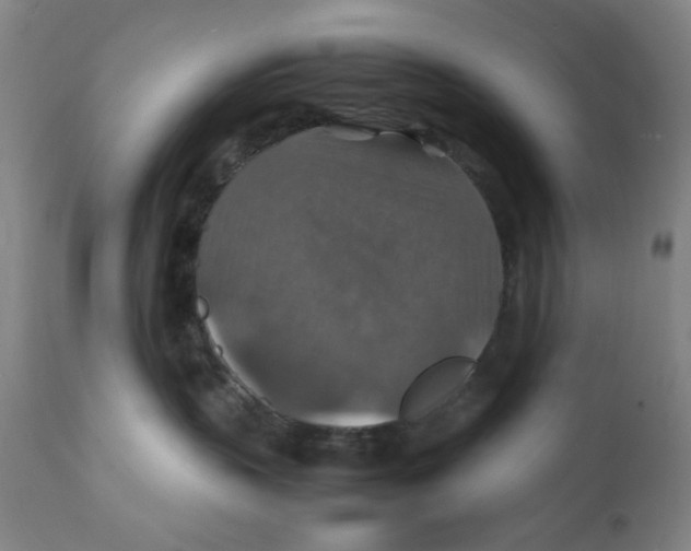 X0000112150383200909041109