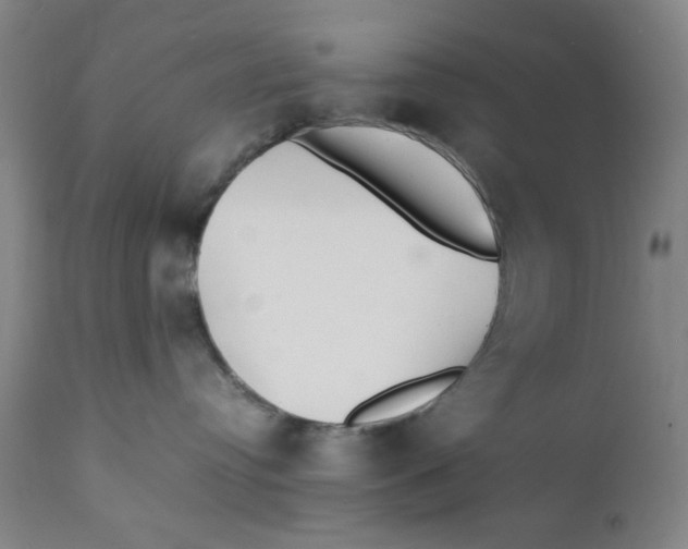 X0000112150384200909041109