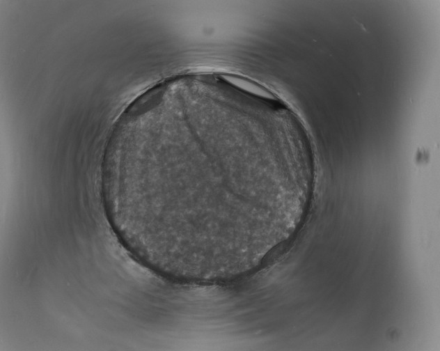 X0000112150385200909041108