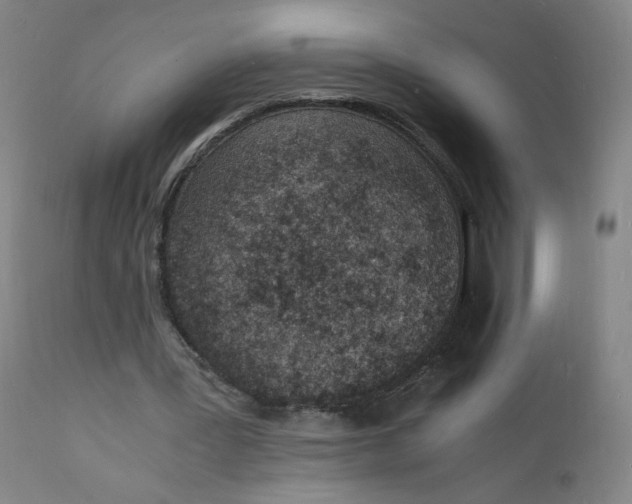 X0000112150387200909041108