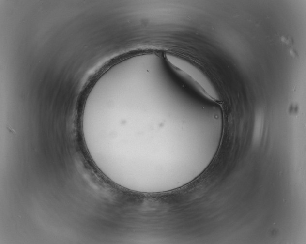 X0000112150388200909041108