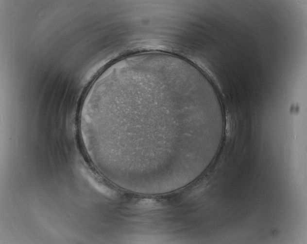 X0000112150390200909041108