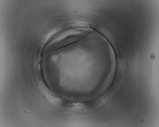 X0000112150395200909041108