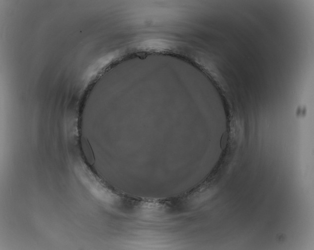 X0000112150399200909041108