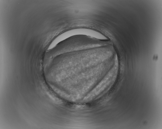 X0000112150401200909041108