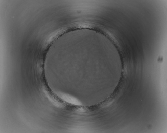 X0000112150402200909041108