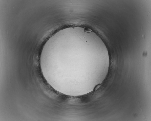 X0000112150403200909041108