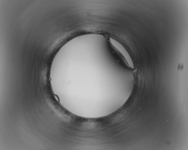 X0000112150404200909041108