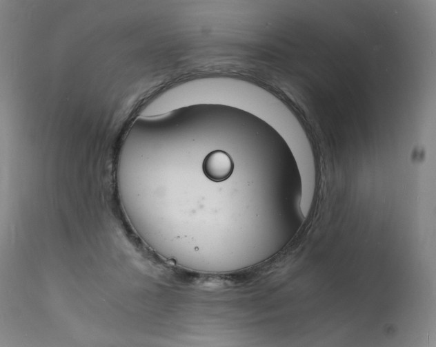 X0000112150407200909041108