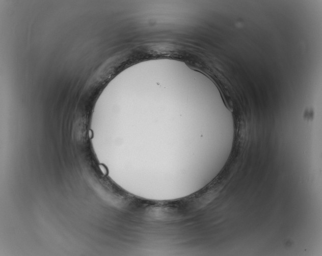 X0000112150408200909041108