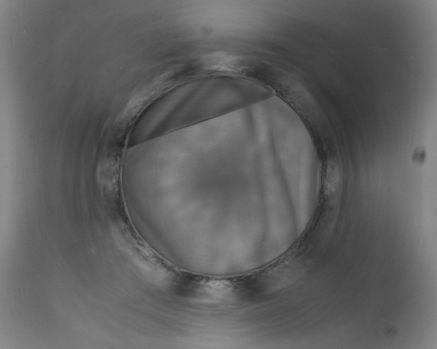 X0000112150409200909041108