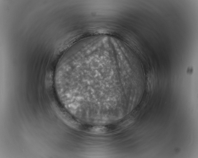 X0000112150410200909041108