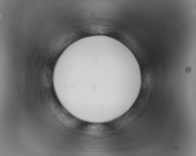 X0000112150414200909041108