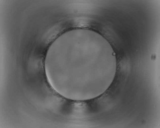 X0000112150415200909041108