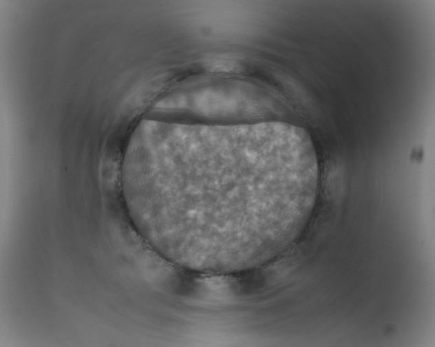 X0000112150417200909041108