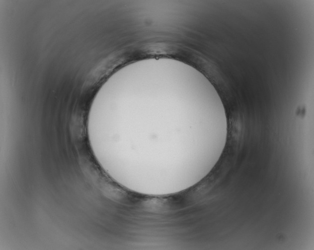 X0000112150422200909041108