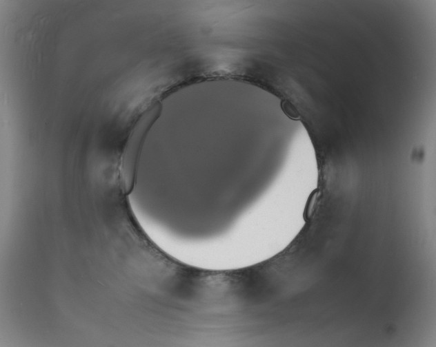 X0000112150423200909041108