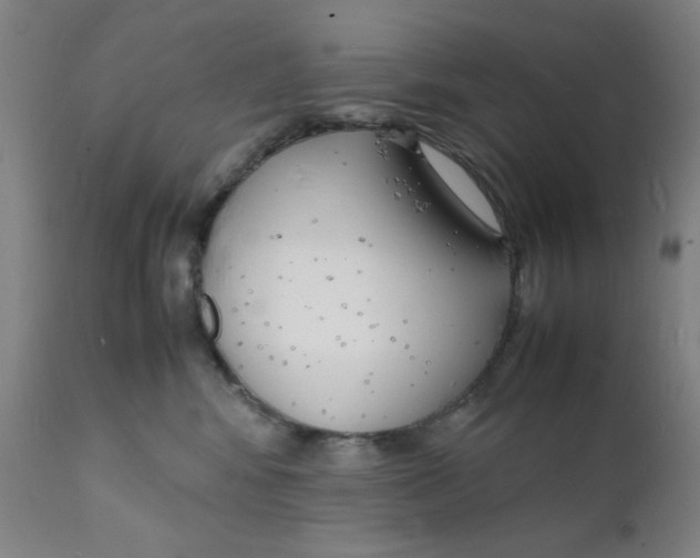 X0000112150424200909041108