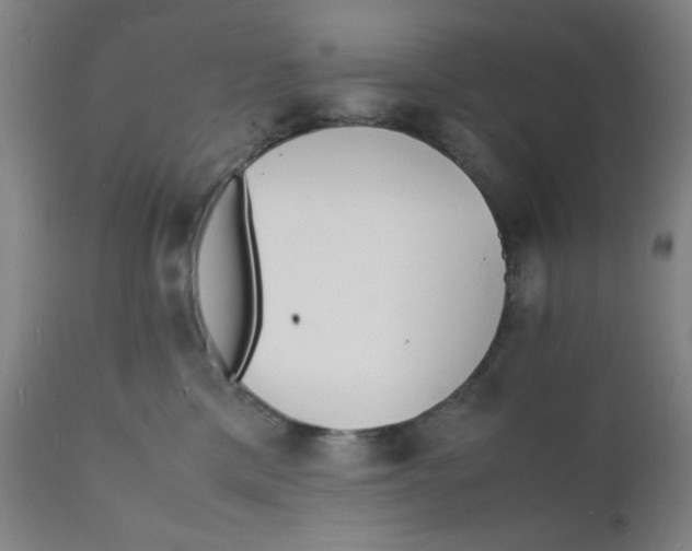 X0000112150425200909041108