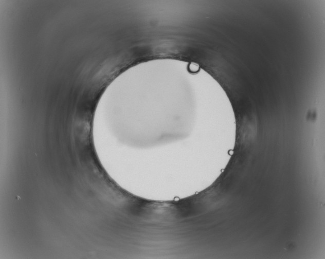 X0000112150427200909041108