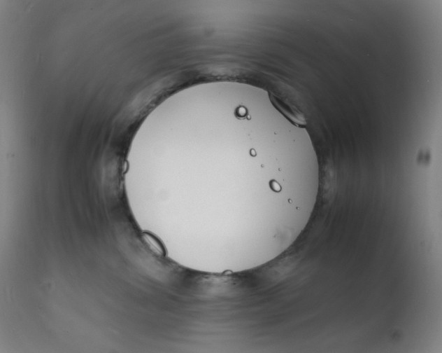 X0000112150428200909041108