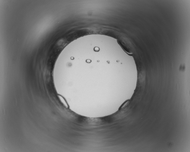 X0000112150429200909041108