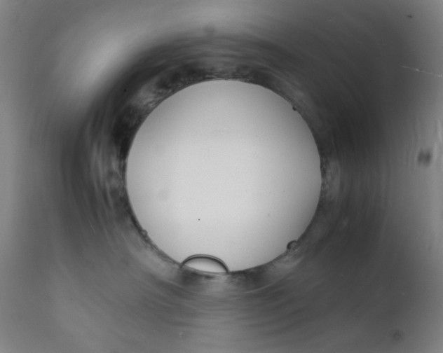 X0000112150430200909041108